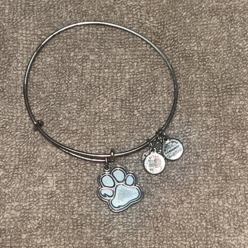 Alex and ani